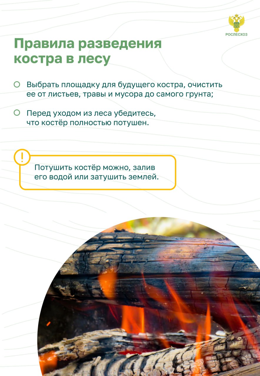 Пожарная безопасность в лесу. Основные правила.