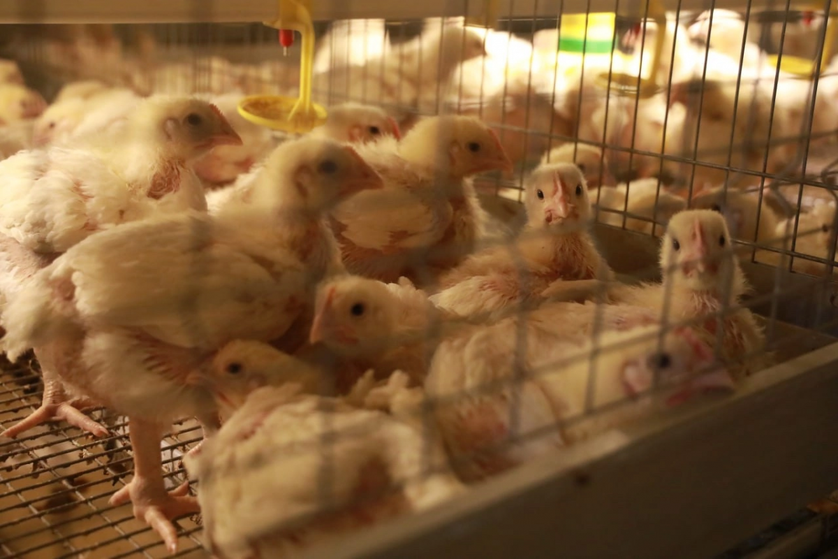 Кетовский округ: перемены здесь и сейчас