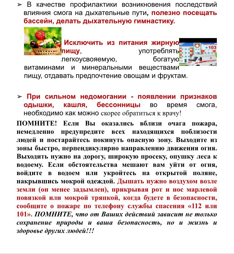 Это важно знать! Рекомендации населению по поведению в условиях высокой задымленности от лесных пожаров