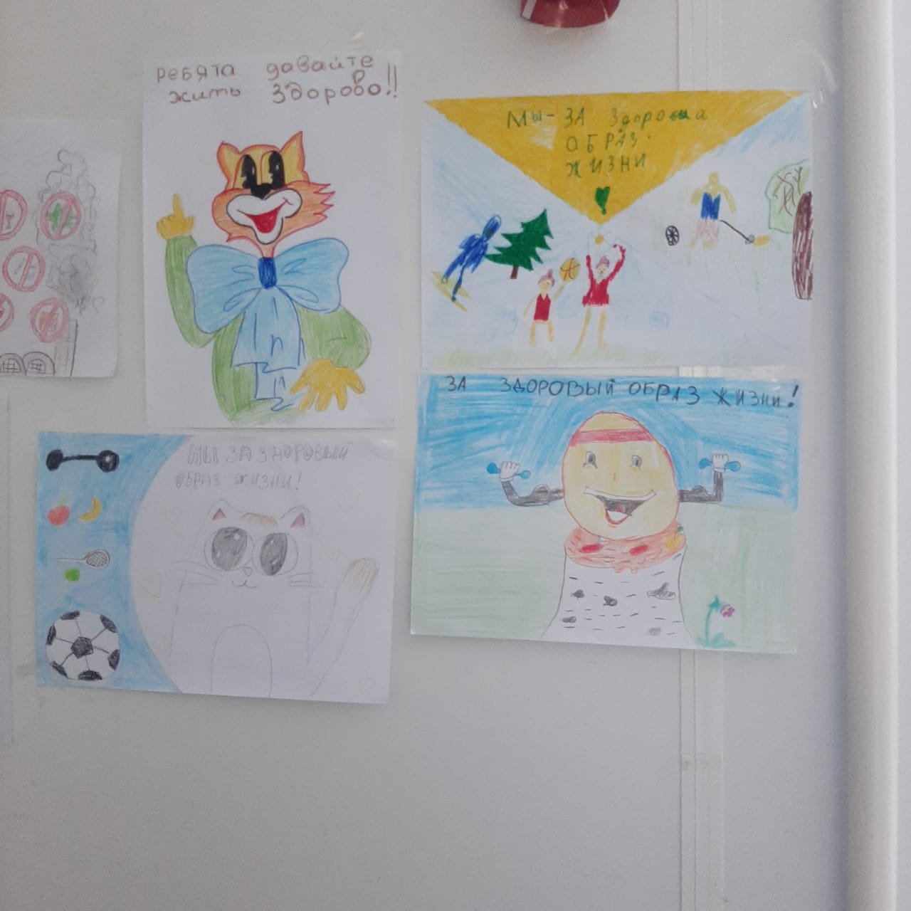 Медицинские организации приняли участие в проведении Всемирного дня безопасности пациентов