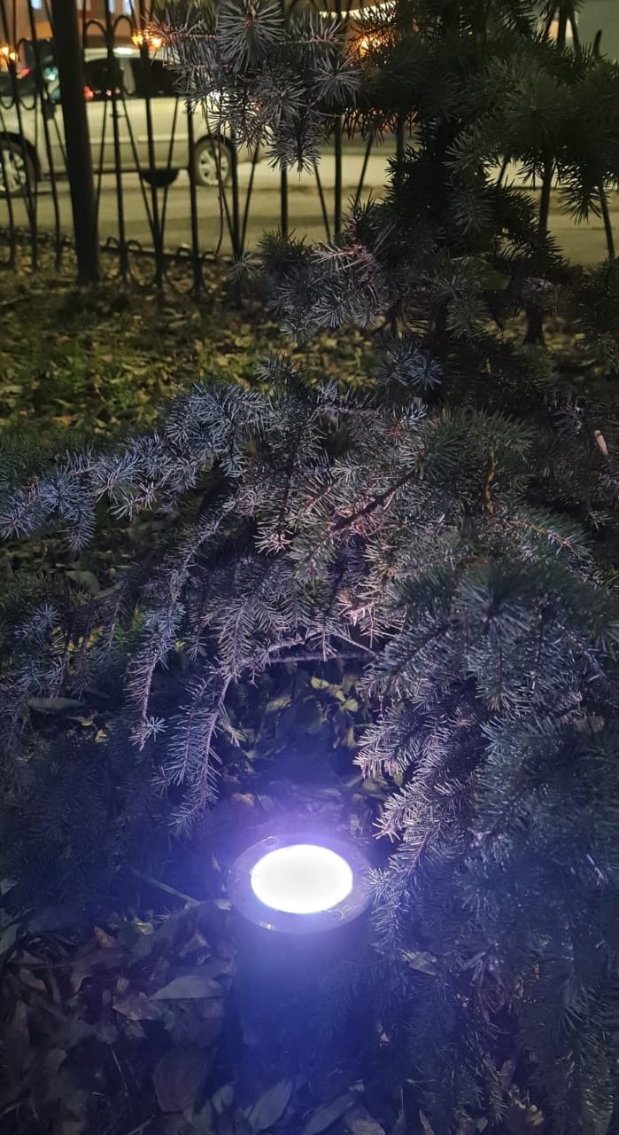 17 ноября - Всемирный день недоношенных детей