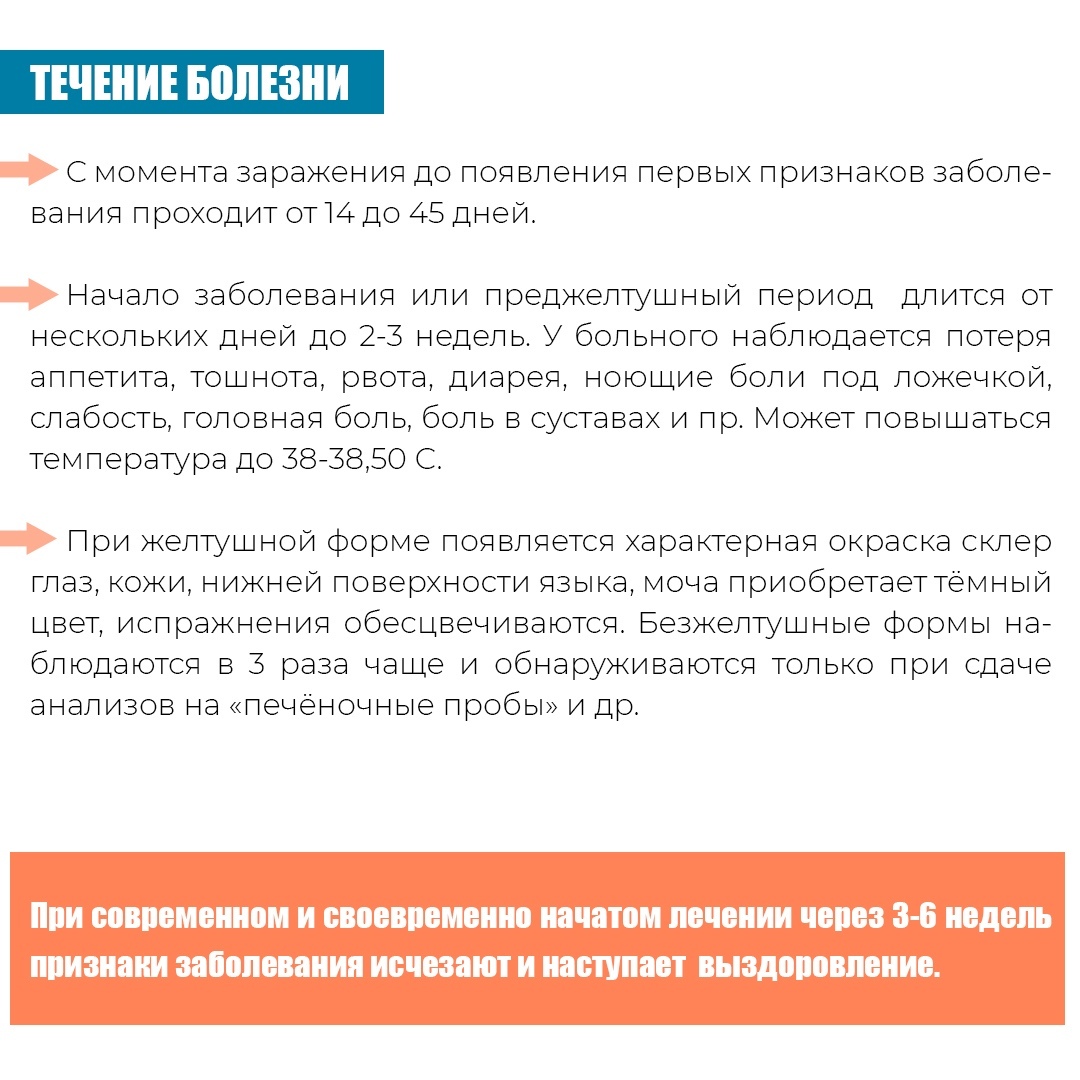  Вирусный гепатит А – острое инфекционное заболевание с поражением печени