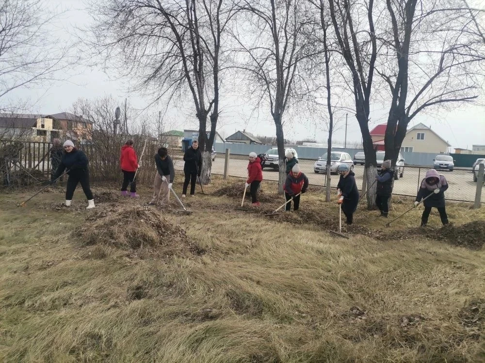 Коллективы медицинских организаций дружно и плодотворно продолжают уборку в рамках субботника.