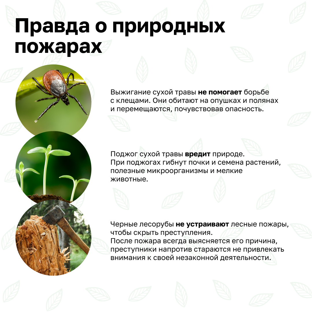 Берегите природу - соблюдайте правила пожарной безопасности!