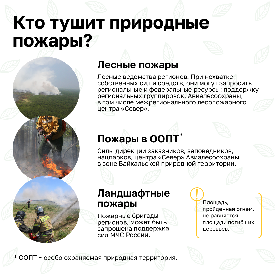 Пожарная безопасность.  Простыми словами о правилах пожарной безопасности в лесах и ответственности.