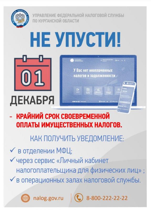 1 декабря - крайний срок своевременной оплаты имущественных налогов 