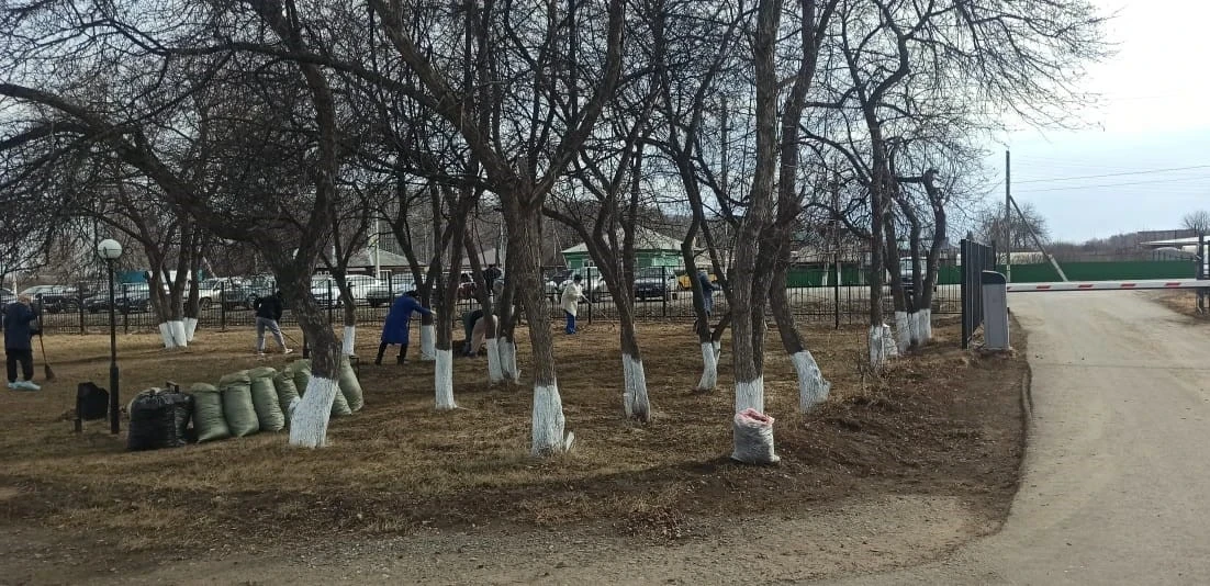 Коллективы медицинских организаций дружно и плодотворно продолжают уборку в рамках субботника.