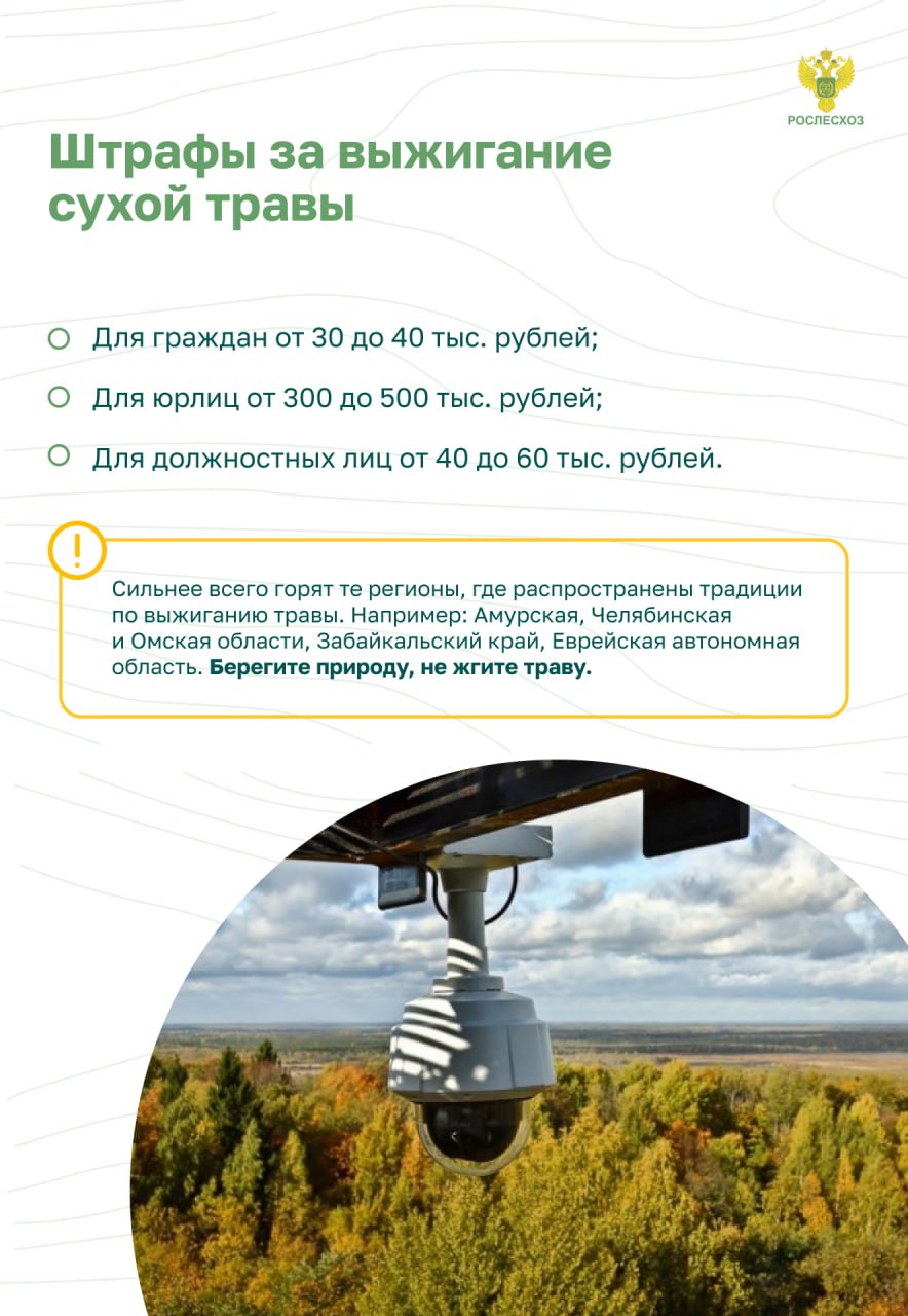 Пожарная безопасность в лесу. Основные правила.