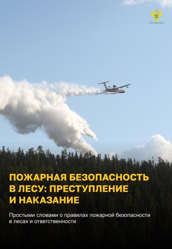 Пожарная безопасность в лесу. Основные правила.