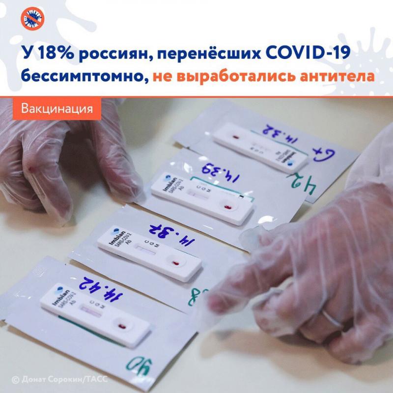 У 18% россиян, перенесших COVID-19 бессимптомно, не выработались антитела