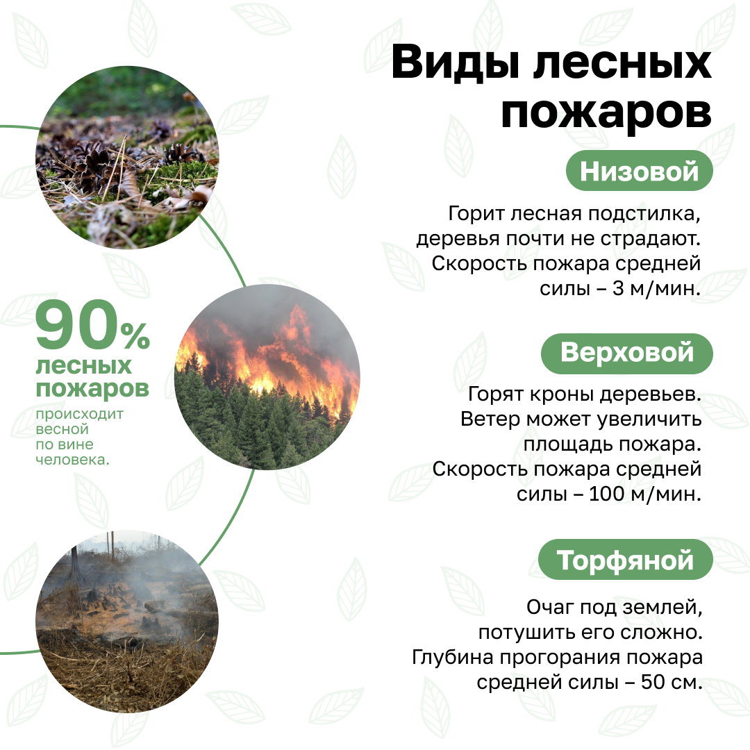 Пожарная безопасность.  Простыми словами о правилах пожарной безопасности в лесах и ответственности.
