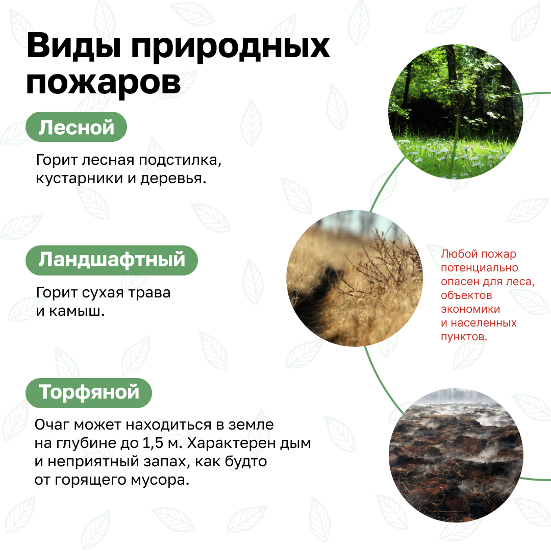 Пожарная безопасность.  Простыми словами о правилах пожарной безопасности в лесах и ответственности.