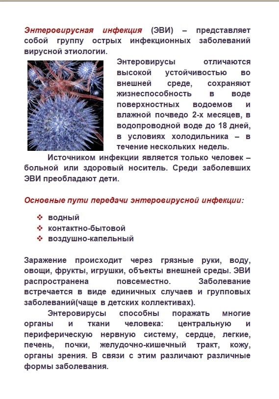 Центр общественного здоровья, медицинской профилактики, лечебной физкультуры и спортивной медицины разработал ряд памяток для профилактики энтеровирусной инфекции
