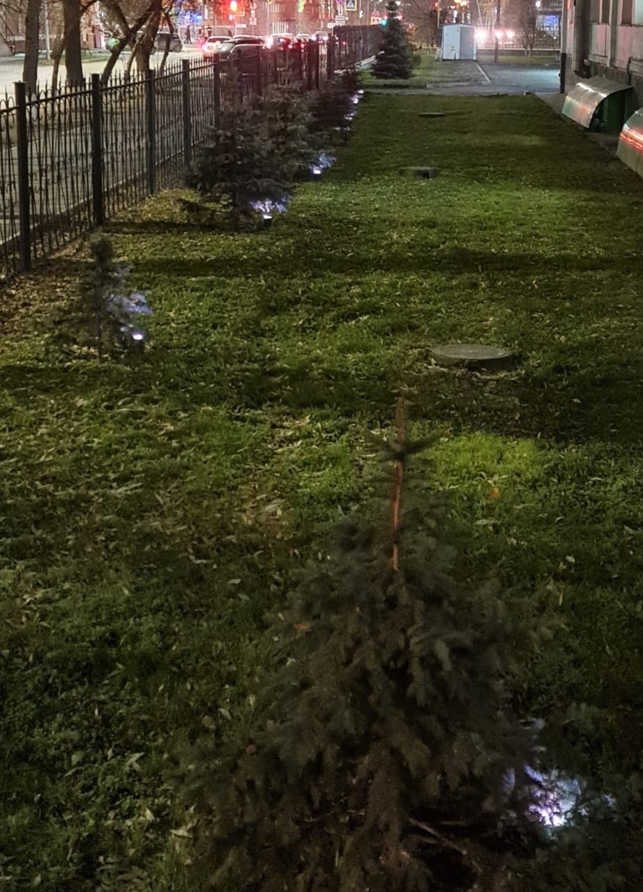 17 ноября - Всемирный день недоношенных детей