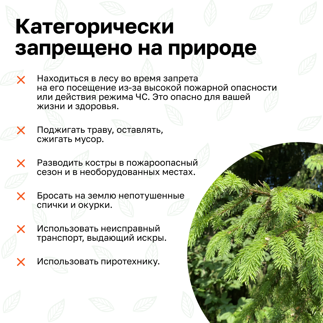 Берегите природу - соблюдайте правила пожарной безопасности!