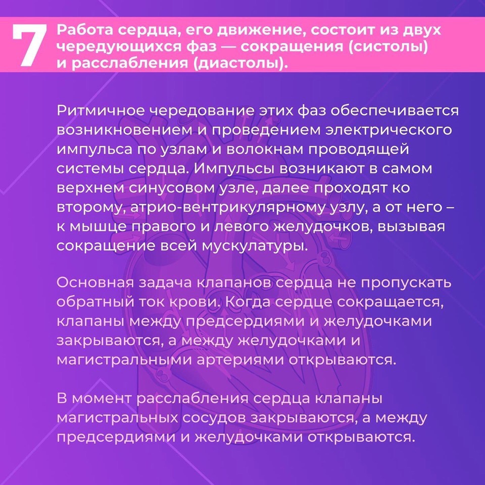 Сердце — один из самых важных органов человека. Благодаря его стабильной и правильной работе другие органы насыщаются кислородом и питательными веществами