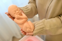 В женской консультации Курганской поликлиники №1 прошёл День открытых дверей «Семья – основа здорового будущего».