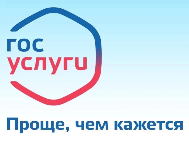 В Курганской области заявление на предоставление лицензии на медицинскую деятельность, фармацевтическую и деятельность по обороту наркотических средств, психотропых веществ  можно подать на портале Госуслуг.