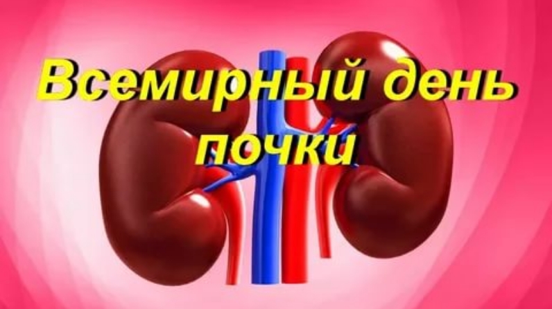 10 марта отмечается Всемирный день почки. Обратиться к врачу - нефрологу Курганской областной детской клинической больницы имени Красного Креста родители могут по электронной почте