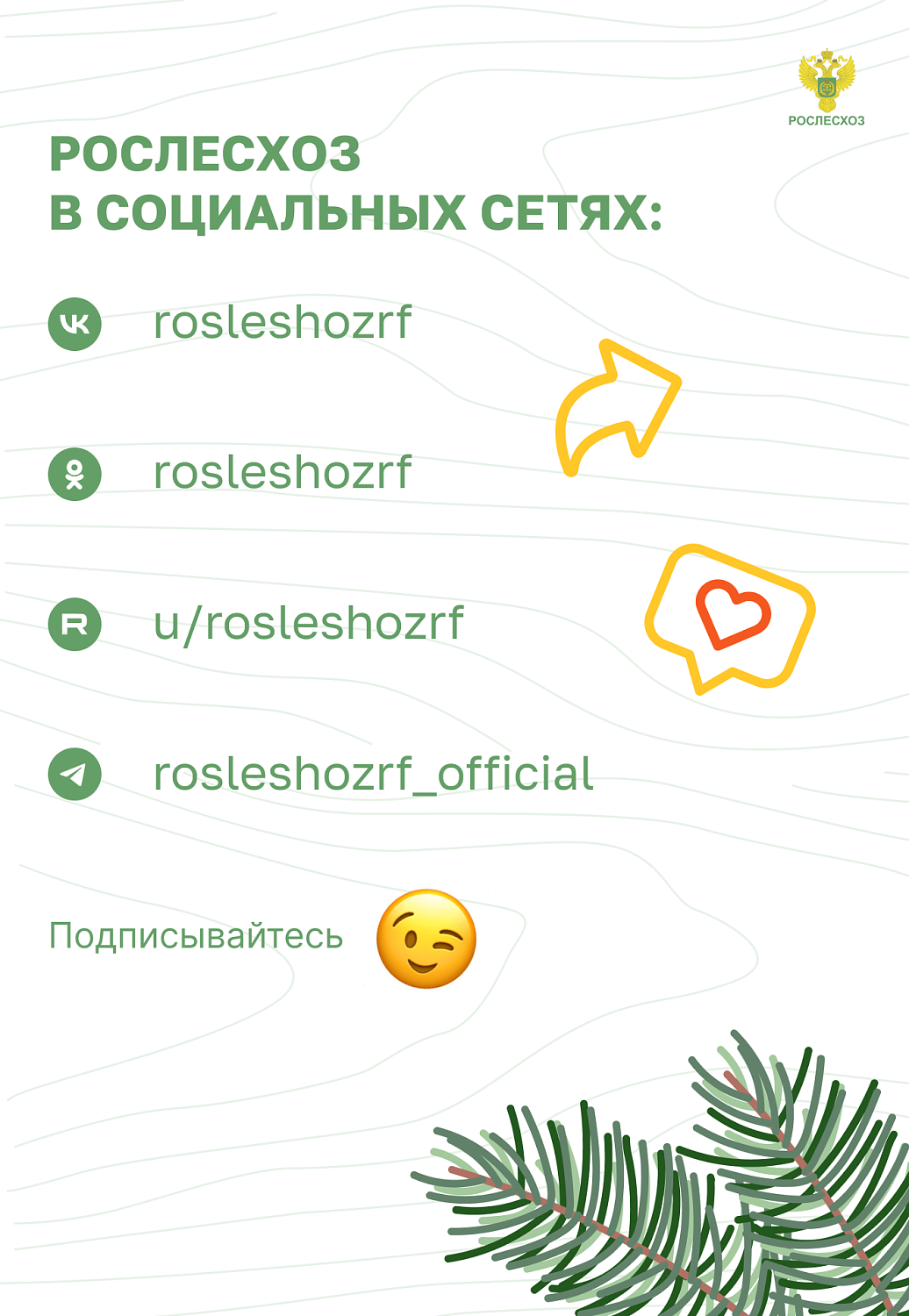 Пожарная безопасность в лесу. Основные правила.
